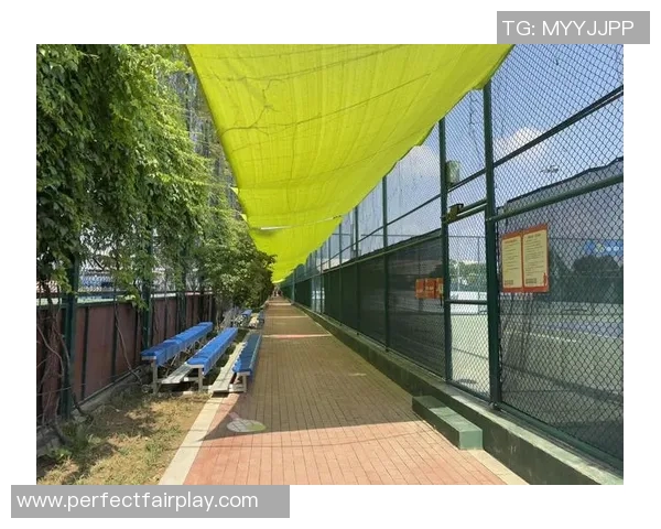 西安网球队力量争议引发广泛热议与讨论的背后真相